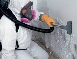 Best Mold Damage Restoration  in Rockwall, TX